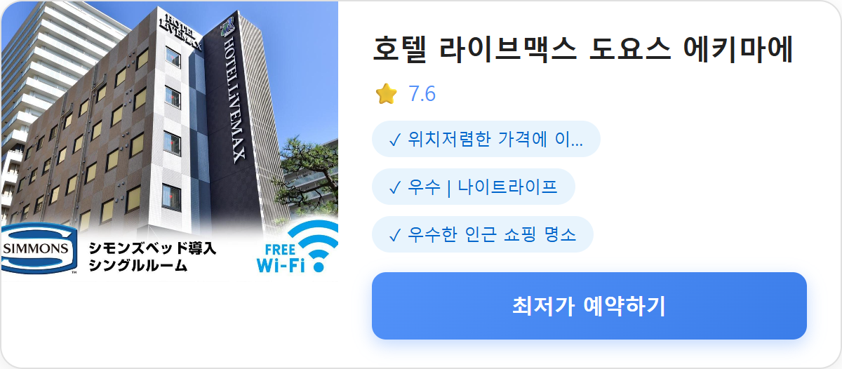 호텔 라이브맥스 도요스 에키마에