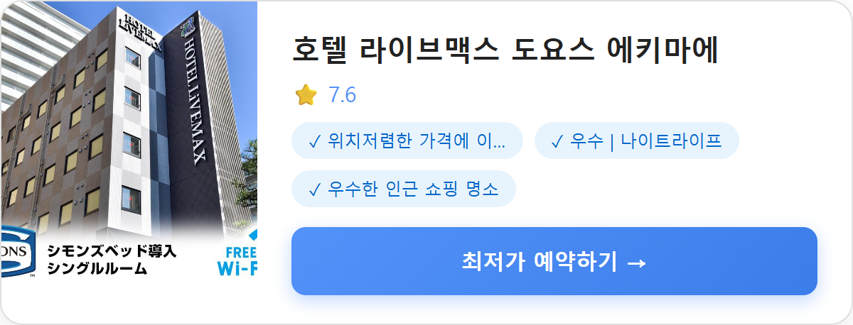 호텔 라이브맥스 도요스 에키마에
